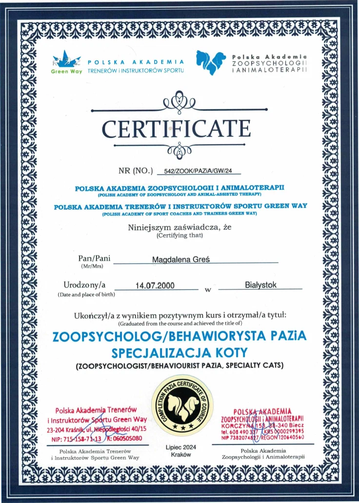 Certyfikat Zoopsycholog Behawiorysta Koty